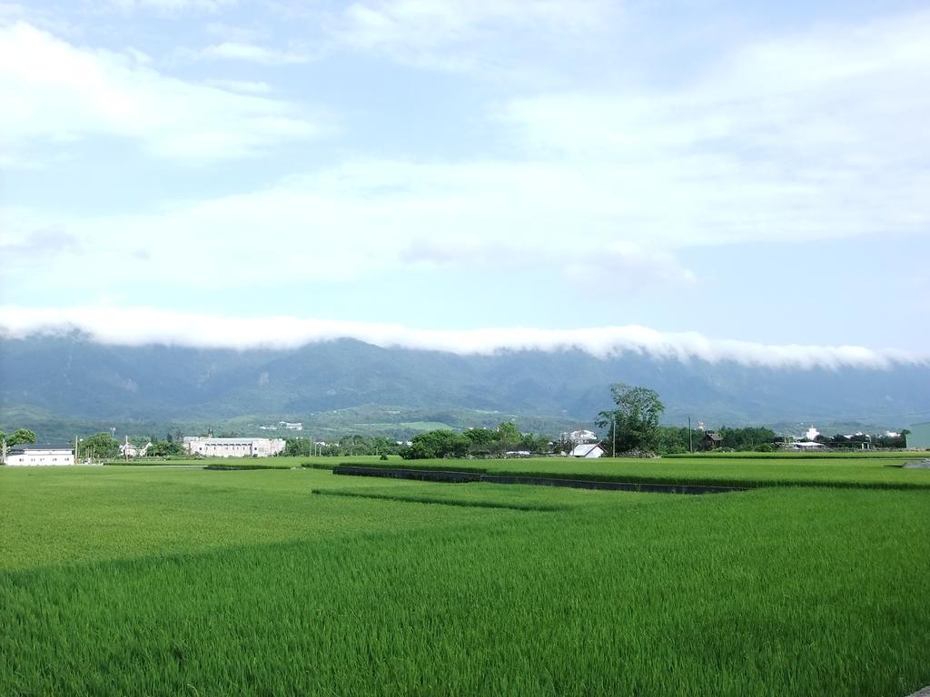 池上福吉園素食民宿 臺東縣民宿073號 請勿透過阿勾達訂房 Buitenkant foto